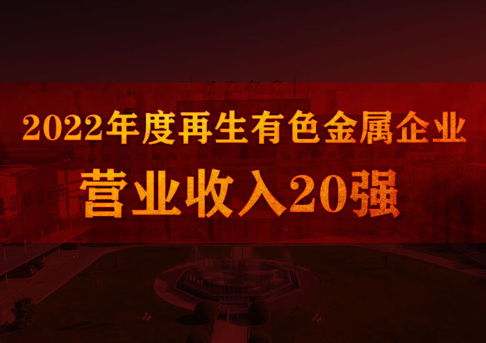 太阳成集团tyc122cc荣获“2022年度再生有色金属企业营业收入20强”